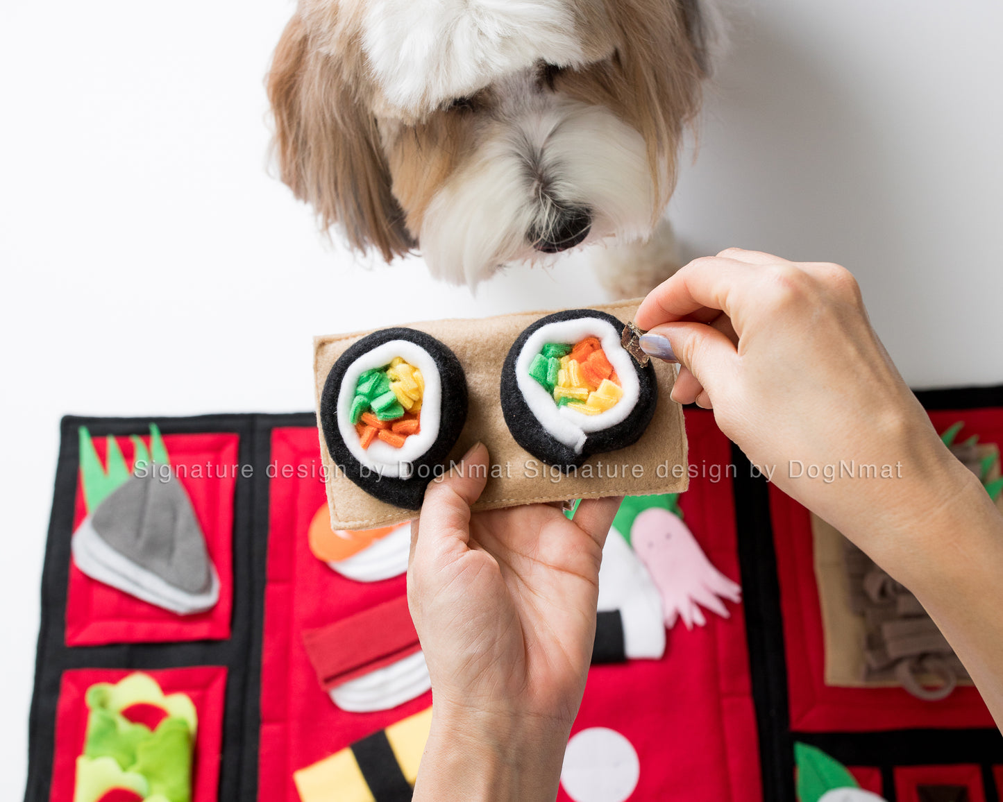 Bento Snuffle Mat
