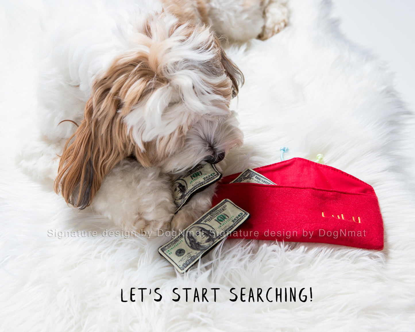 Lucky Money Snuffle Envelope Dog Toy