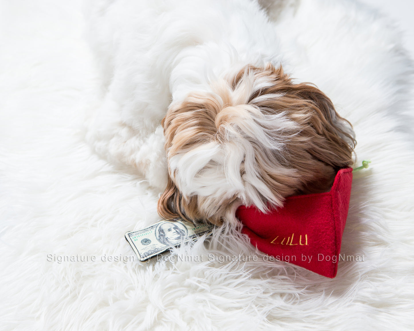 Lucky Money Snuffle Envelope Dog Toy