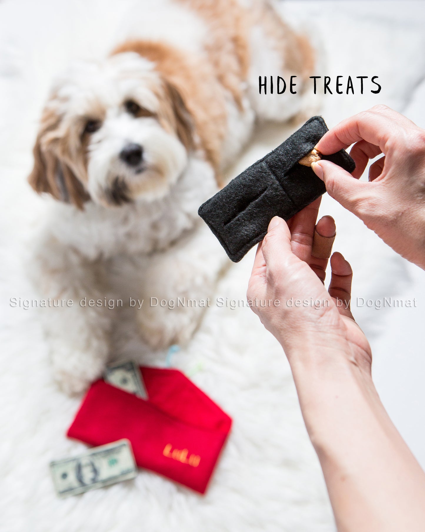 Lucky Money Snuffle Envelope Dog Toy