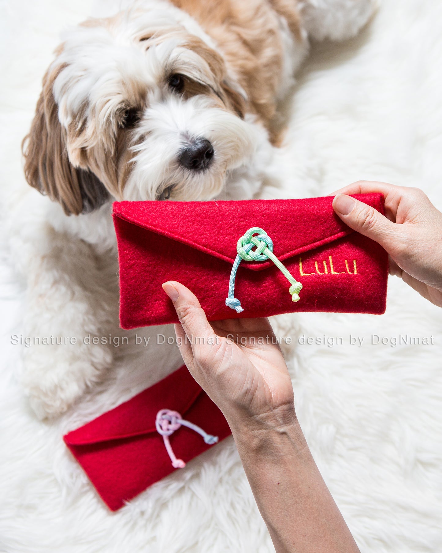 Lucky Money Snuffle Envelope Dog Toy