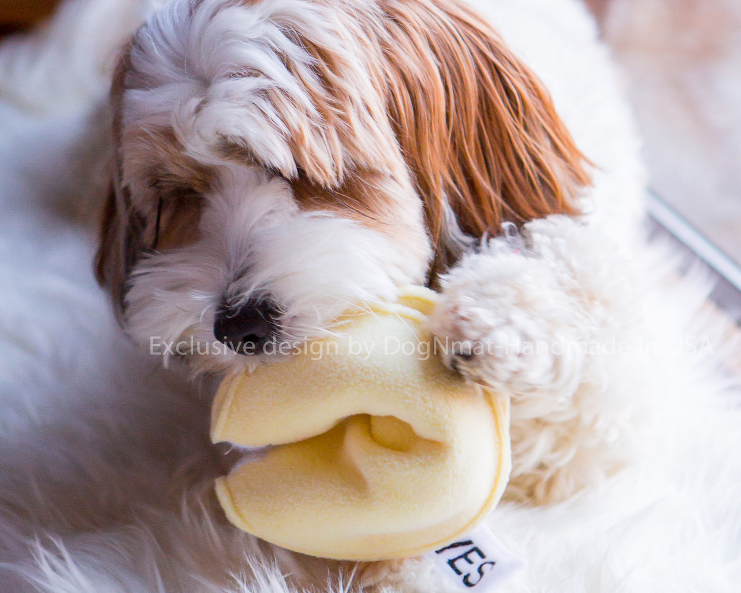 2 Fortune Cookie Snuffle Mats
