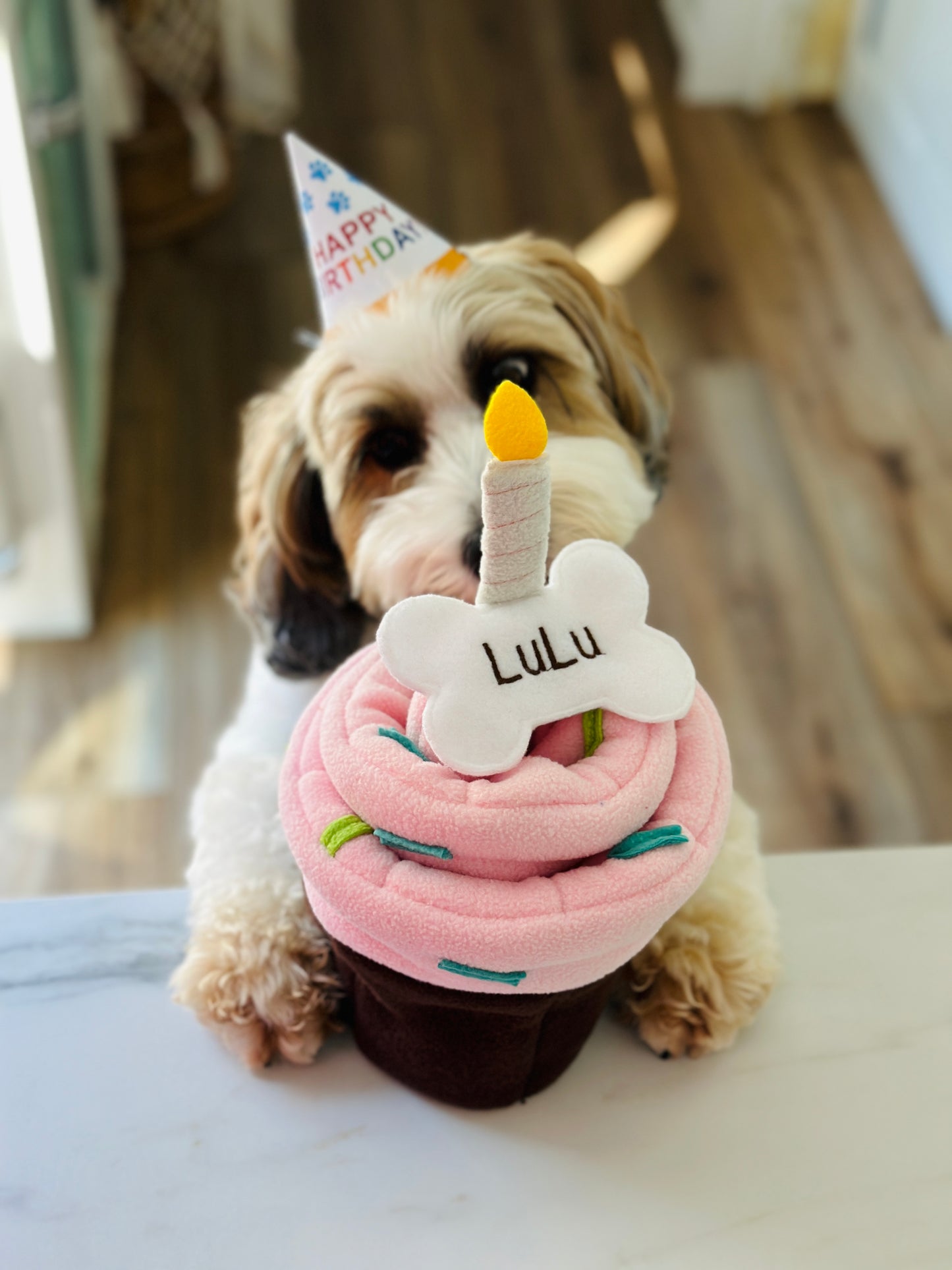 Birthday Cake Snuffle Mat