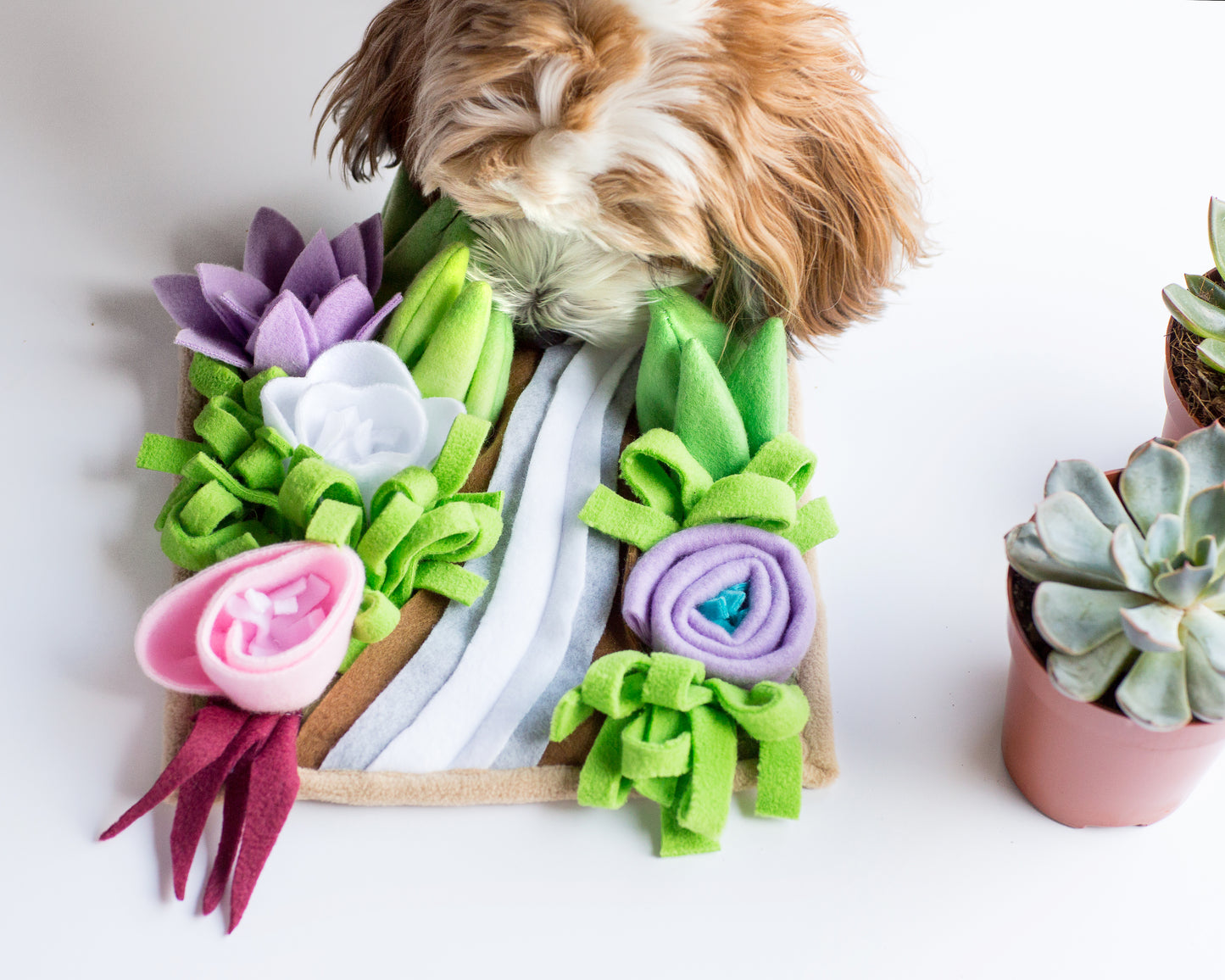 Succulent Snuffle Mat + Taco Poop Bag Dispenser & Poop Holder