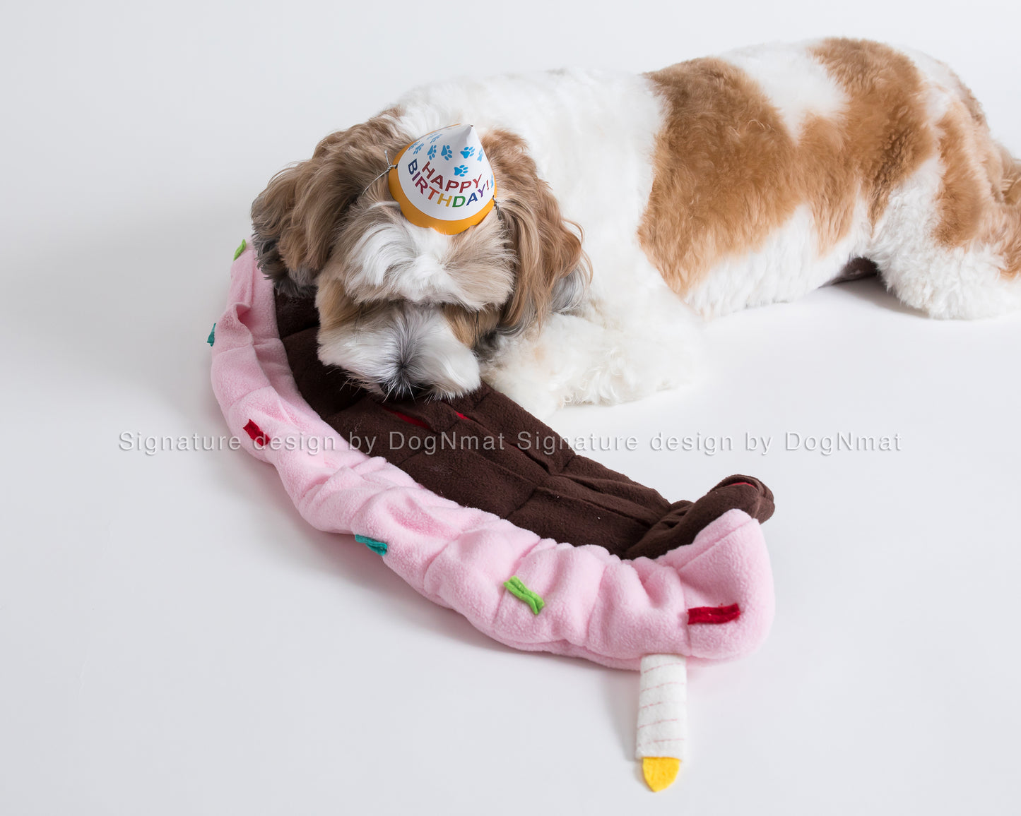 Birthday Cake Snuffle Mat