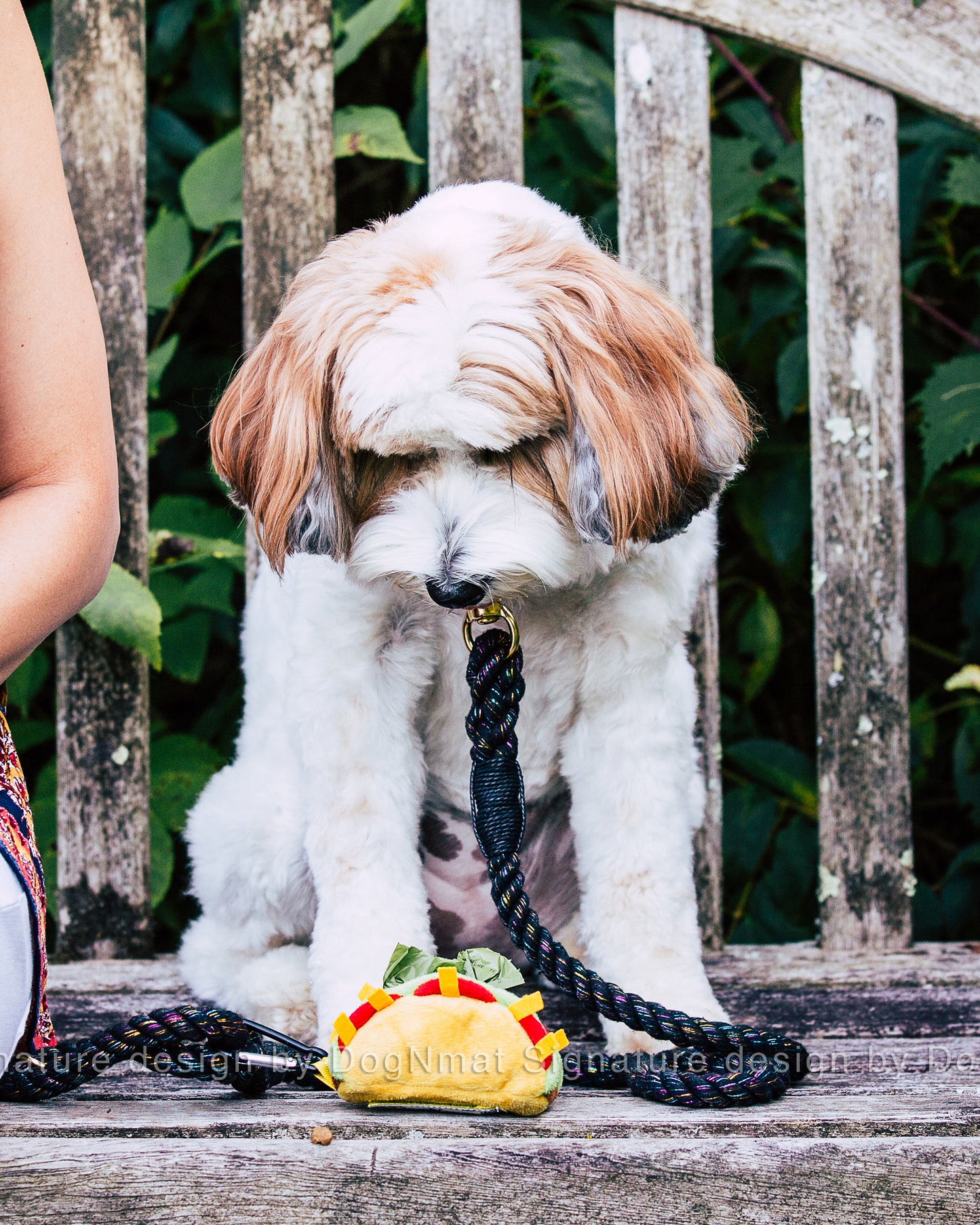 Taco Poop Bag Dispenser and Poop Holder - 2 in 1 waste bag dispenser with poop holder