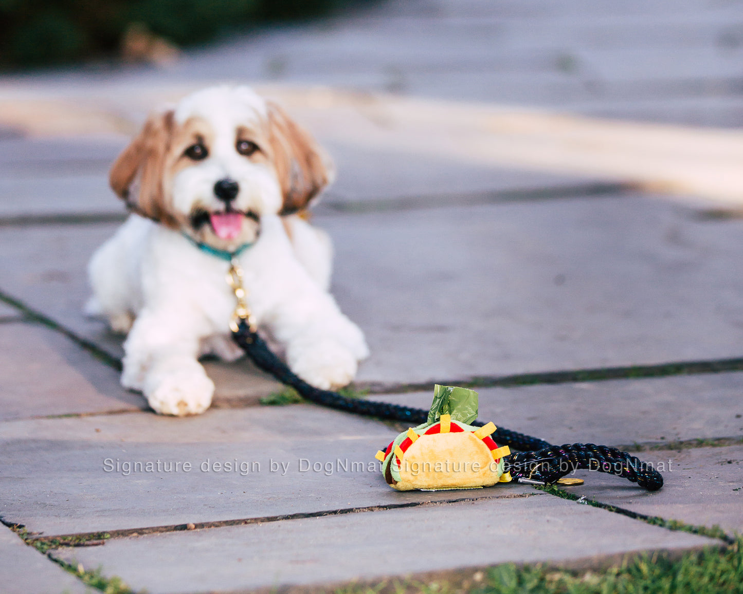 Taco Poop Bag Dispenser and Poop Holder - 2 in 1 waste bag dispenser with poop holder