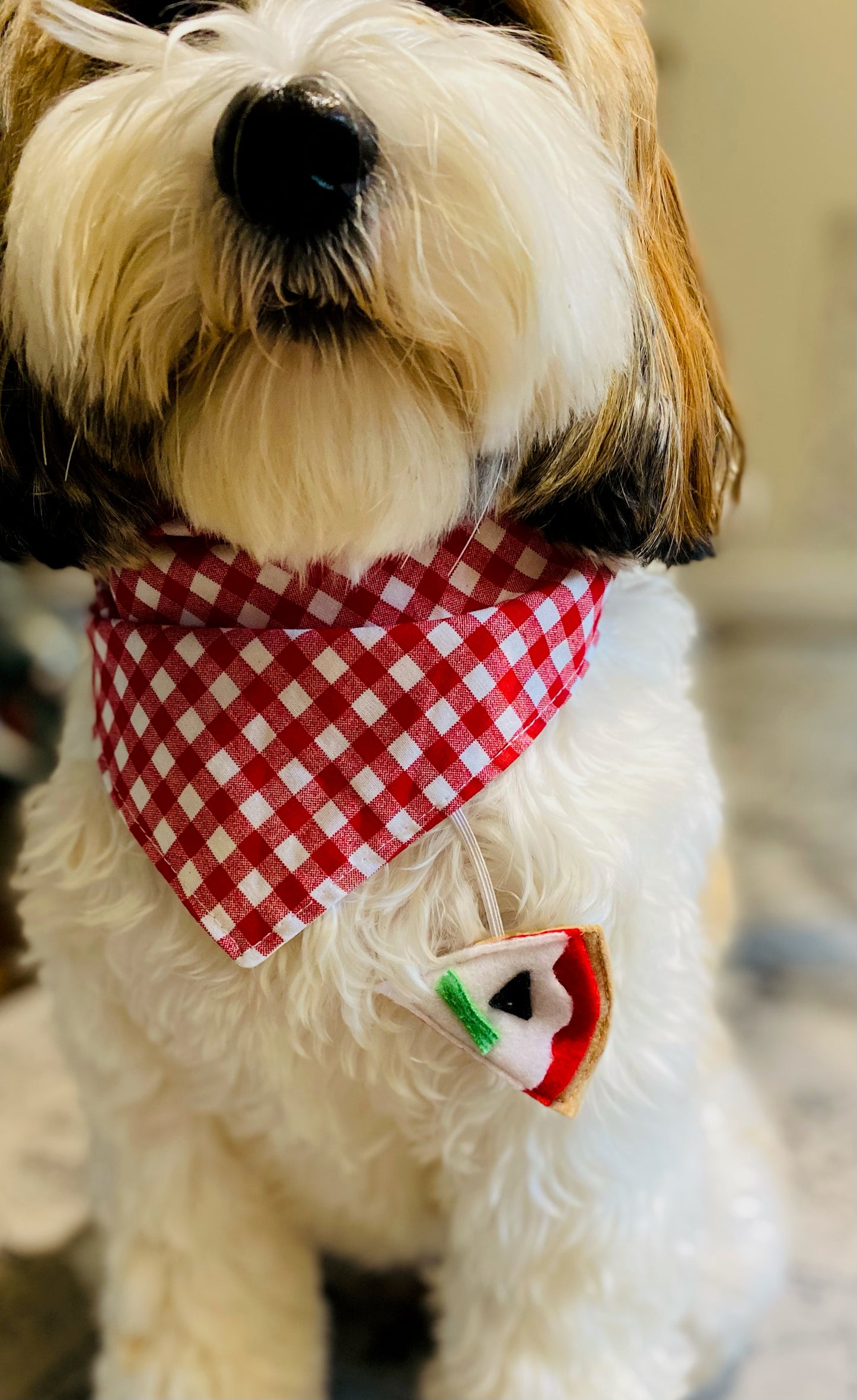 Pizza Charm Dog Bandana