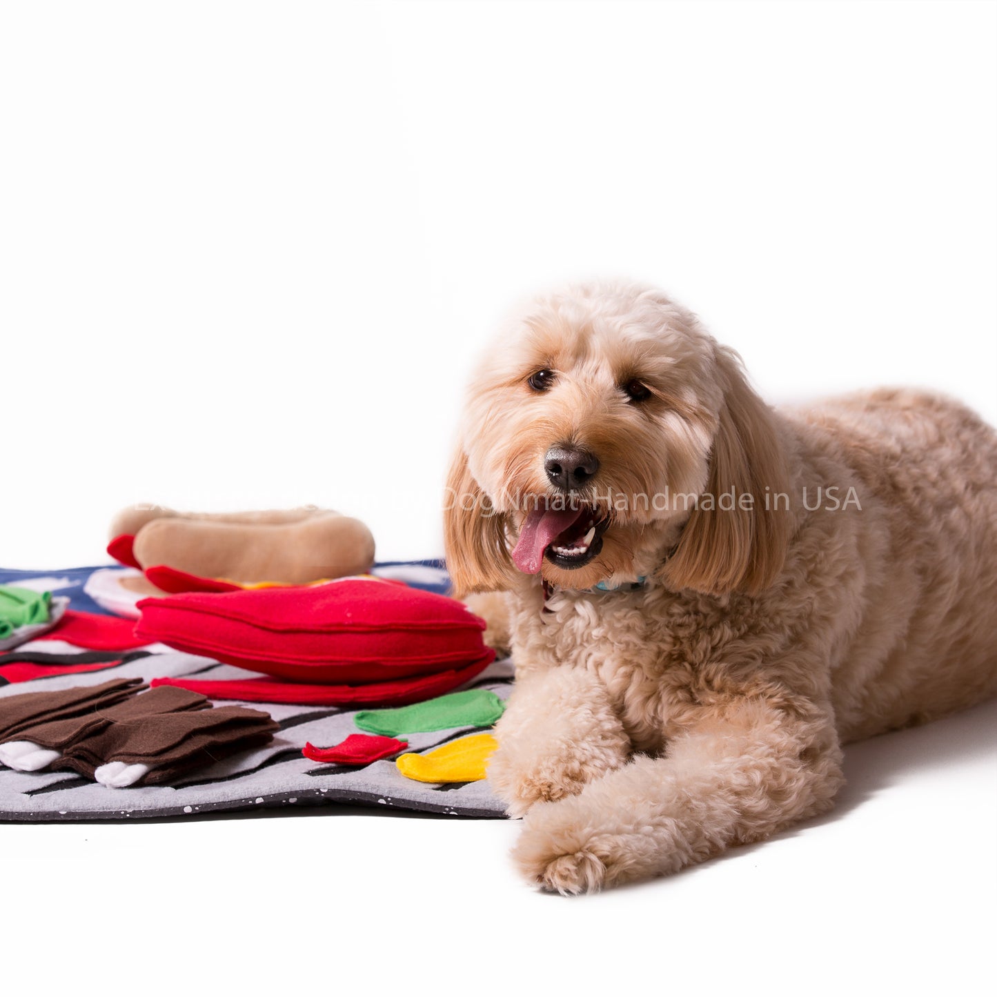 Bark-B-Q Snuffle Mat