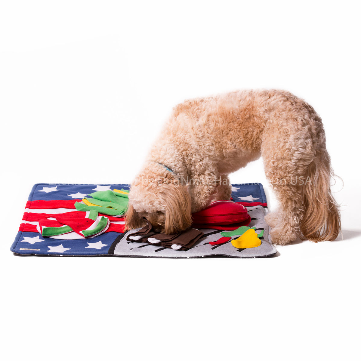 Bark-B-Q Snuffle Mat