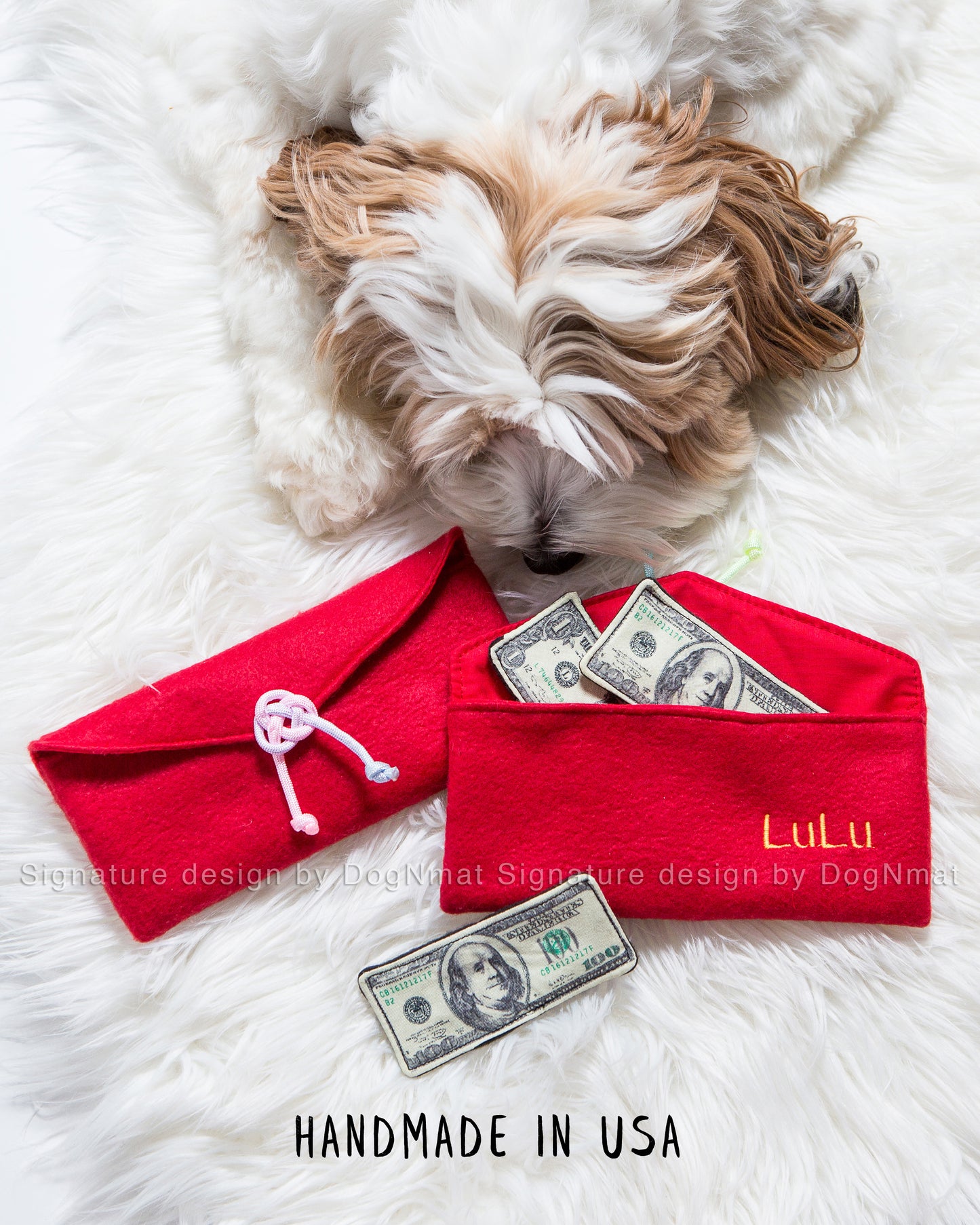 Lucky Money Snuffle Envelope Dog Toy