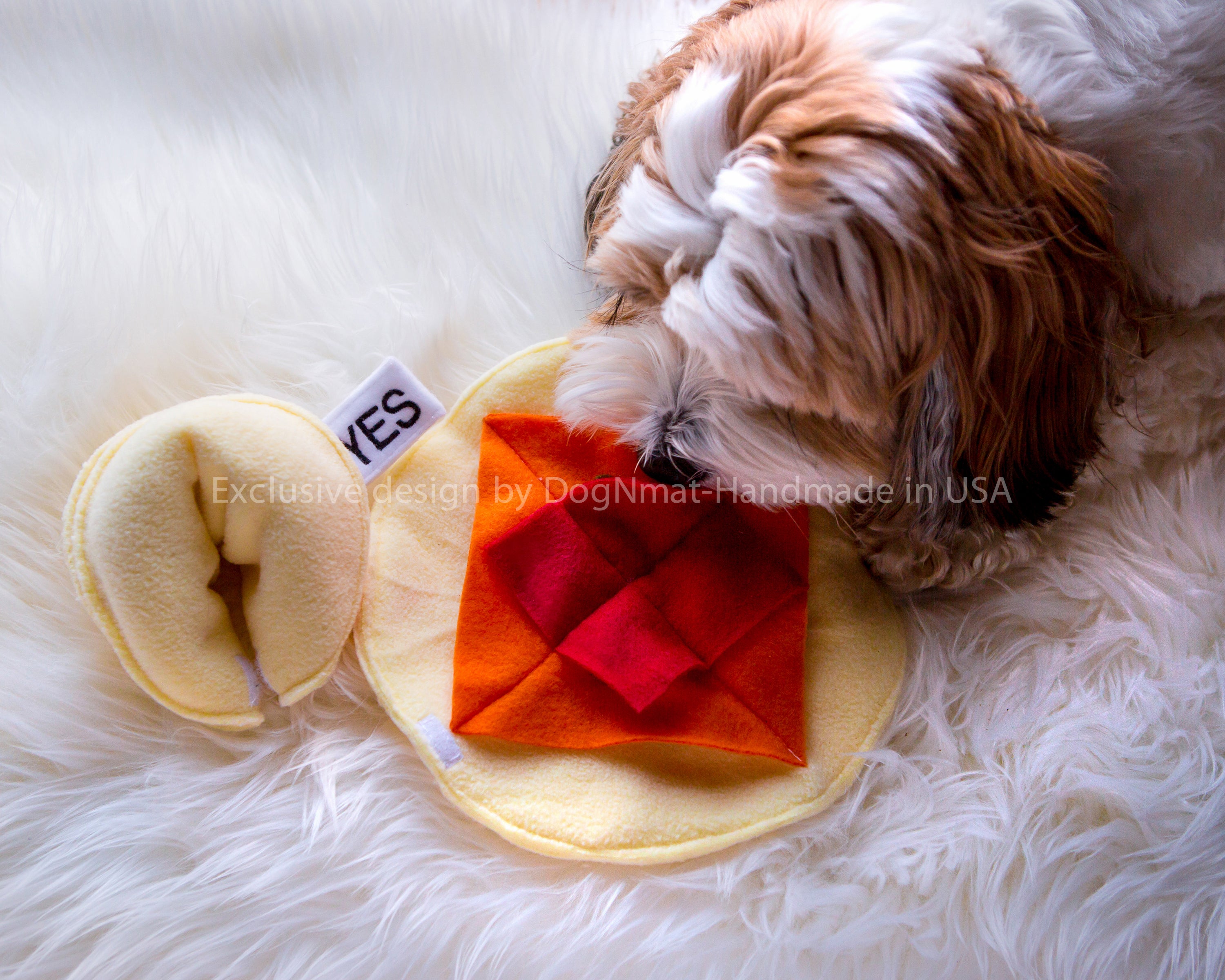 Fortune shop cookie dog